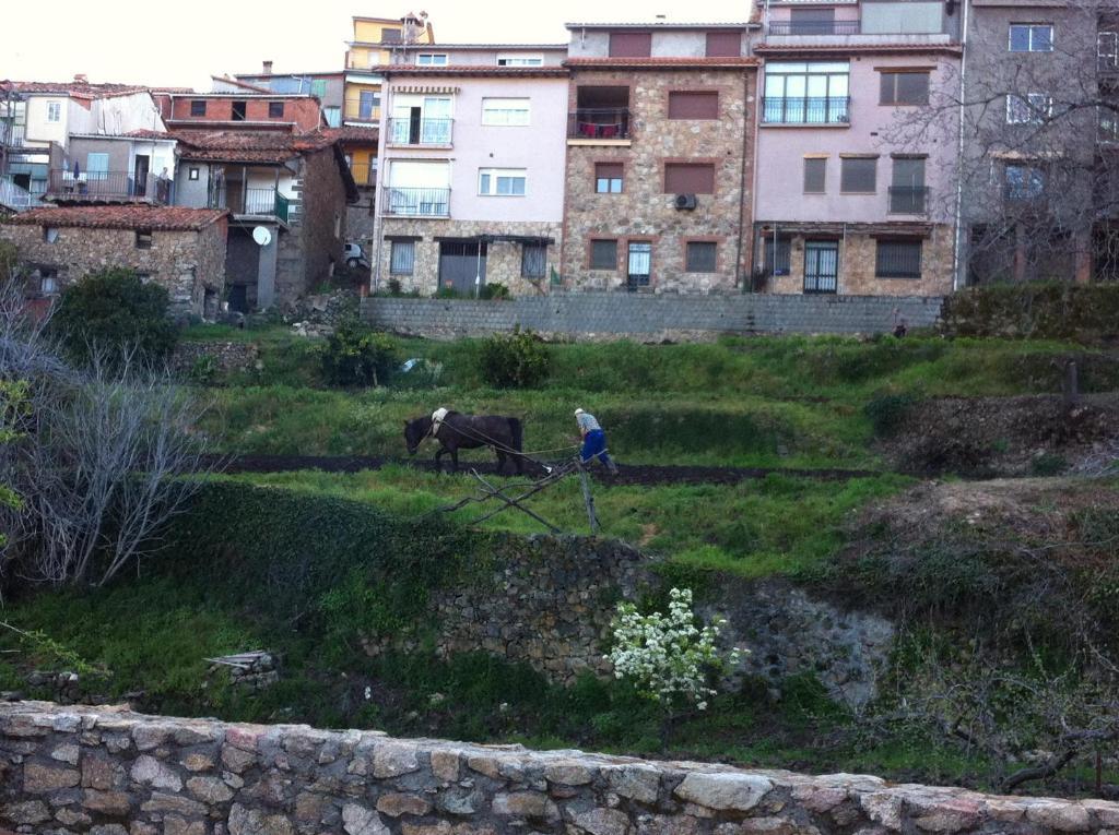 Casa Rural Sierra De Tormantos Guijo de Santa Barbara ภายนอก รูปภาพ